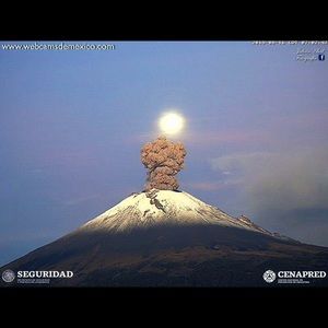 Meet your Posher, Arturo